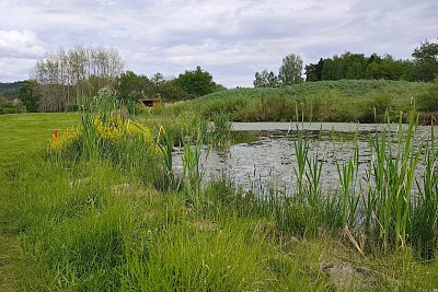 54-kacov-golf.jpg