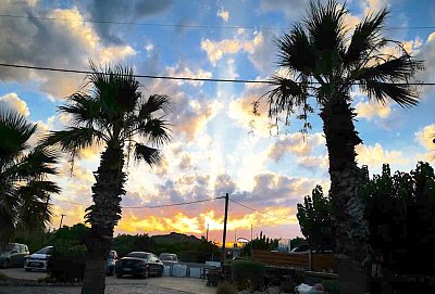 Tolik krásných koček z ostrova Rhodos!