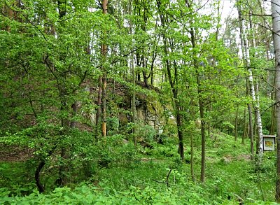 8-dsc00112.jpg