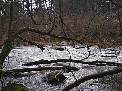 9-sazava.jpg