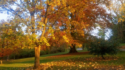 podzimní park