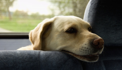 A jede se na výlet...