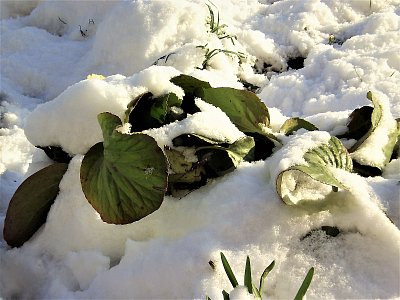 Ještě jsem tady...