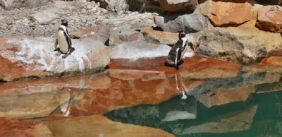 A nebudu s tebou kamarádit