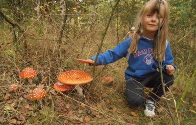 A tyhle jsem našla já ...