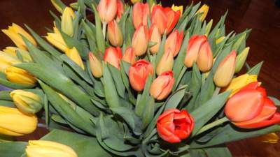 Mamince k 70. narozeninám