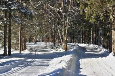 Beskydská magistrála