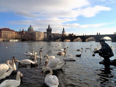 Ne, nechceme...běž domů, Ivane...