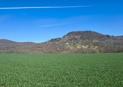 Toulky Českým středohořím - Blešenský vrch *