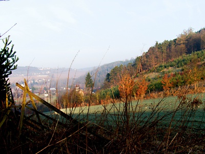 Zimní