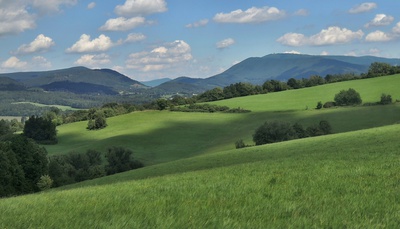 Čekání na světlo