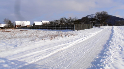 Cesta