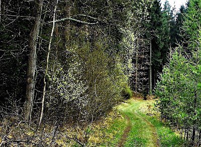 Už se těším na jaro