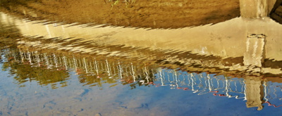 Co jsem viděla v řece