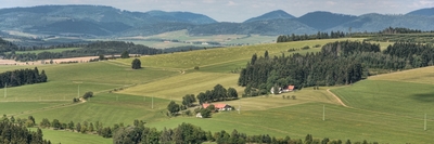 Z Ostaše