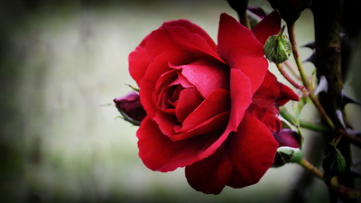 Listopad - už se klepu zimou