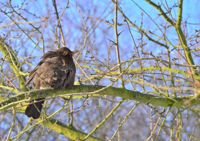 Dej mi něco nebo zmrznu