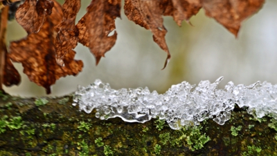 Zima se ještě drží drápkem