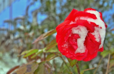 Zásnuby podzimu a zimy