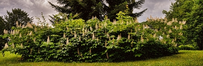 Park v Ratibořicích