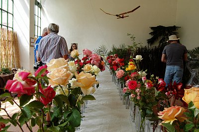 DSC_6126.JPG