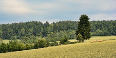 Nad Policí nad Metují