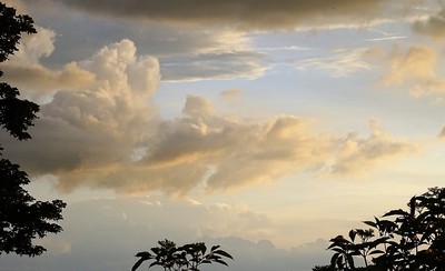 Příroda kolem nás