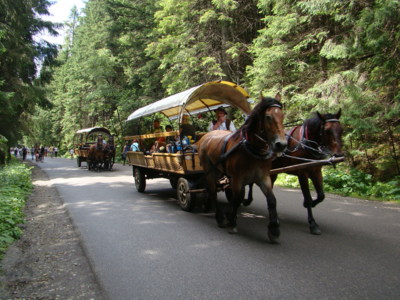 Taxi !!!
