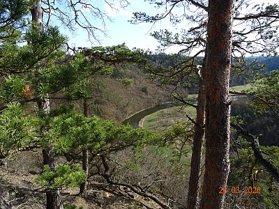 Řeka Berounka z PR Třímanské skály