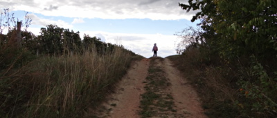 Malá Babeta šla do světa