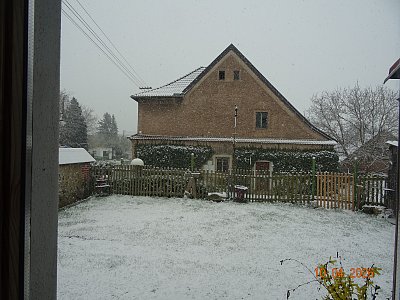 Včera přilétly první vlaštovky