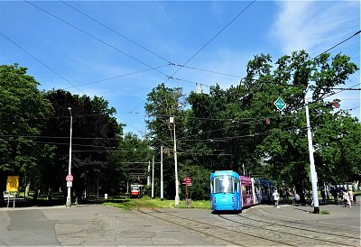 DSC02535 (2).JPG