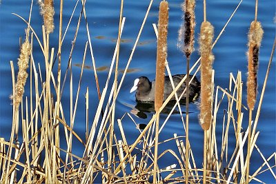 Plavu si ani nevím jak...