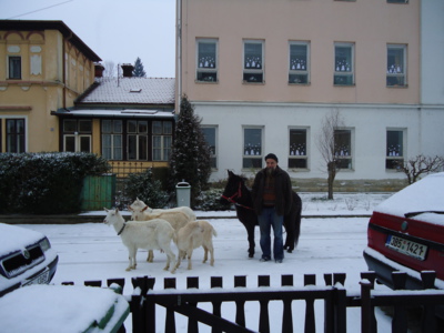 zjevení  na nový rok  ????