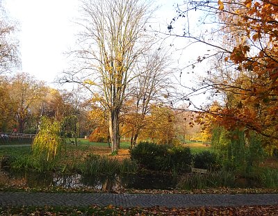 Listopad v parku