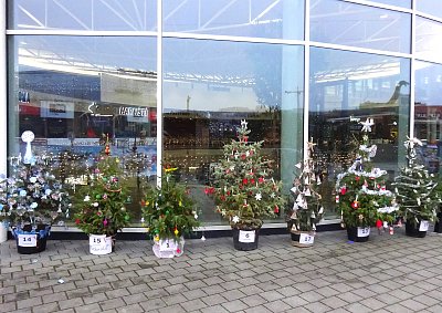 Vánoční les na Harfě *