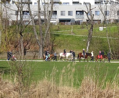 Pěšky, na ponících, v kočárku