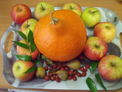 Zdraví prospěšné...