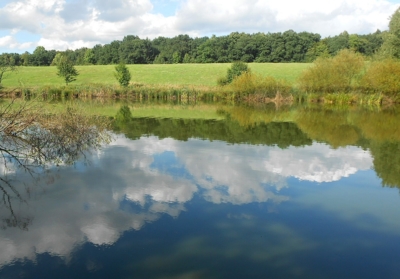 Barevná skládanka