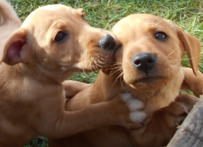 Jarní den s úsměvem