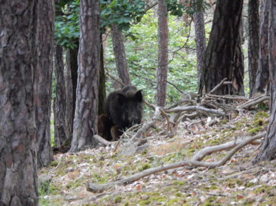 Setkání v 15 hod..