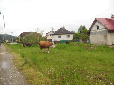 Obyčejný den v Lietavské Lúčce