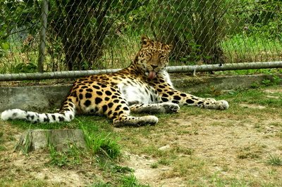 Srdečný pozdrav ze ZOO