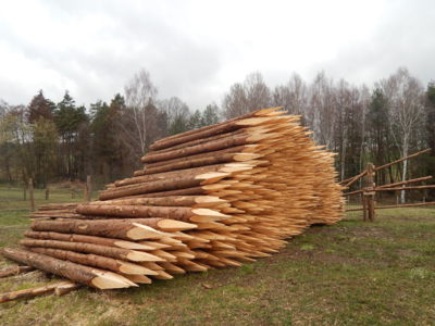 Připraveny na jaro.