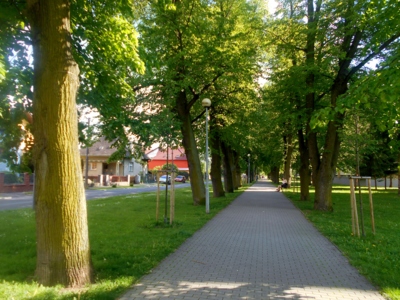 Lipova alej