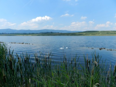 Na Miladě