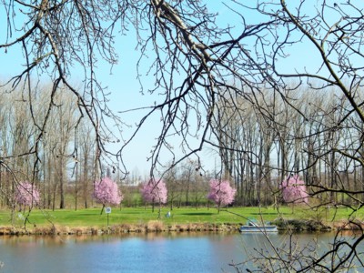 Symbióza přírody a průmyslu