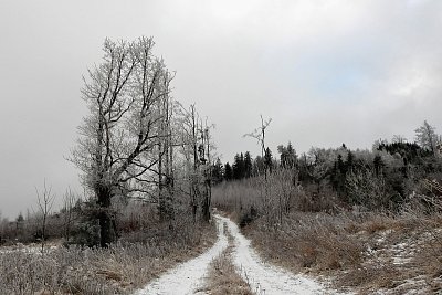 Šťastnou cestu rokem 2026
