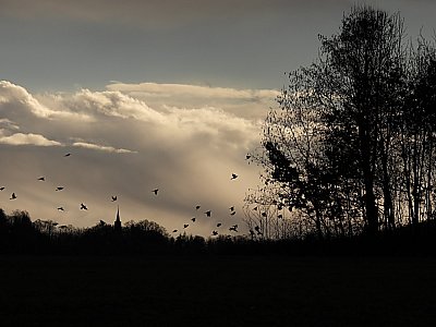Na křídlech ptáků jaro přilétá
