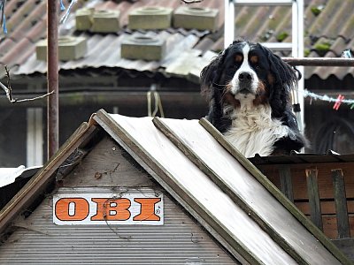 Srdečně vás vítám v OBI!